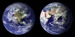 diverse ecosystems