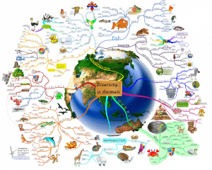 diverse animals