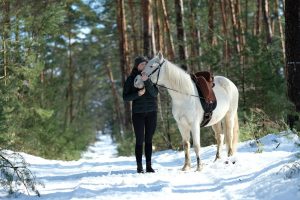 My pet horse