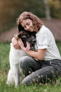 Pet dog. The right pet.