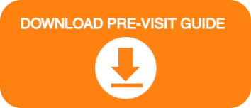 download-btn
